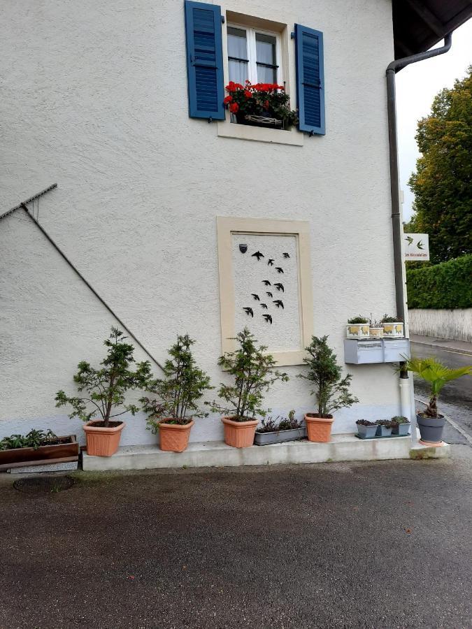 Les Hirondelles, Appartement De Vacances Avec Terrasse Et Coin Grillades Granges Exterior photo