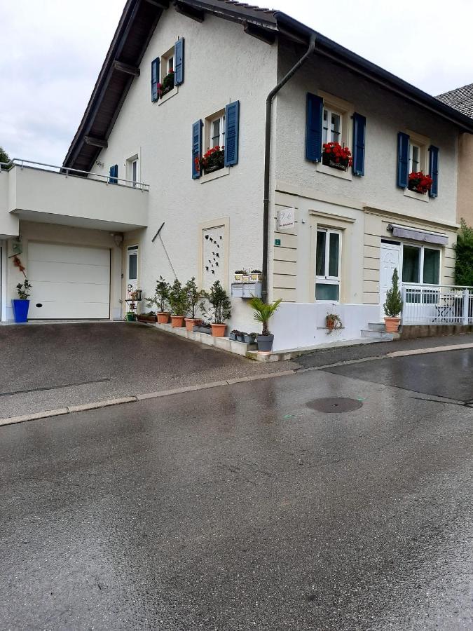 Les Hirondelles, Appartement De Vacances Avec Terrasse Et Coin Grillades Granges Exterior photo